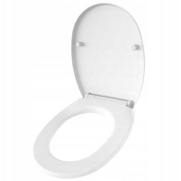 Deska sedesowa Wc toaletowa Wolnoopadająca koło wypinana ciekawa