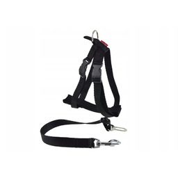 CHABA - Szelki samochodowe 20cm-50cm