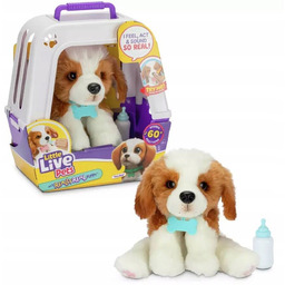Little Live Pets Piesek Mój Prawdziwy Szczeniaczek Interaktywny