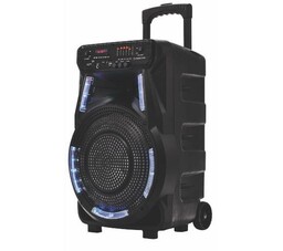 Manta SPK5033 40W Bluetooth Radio FM Czarny Power