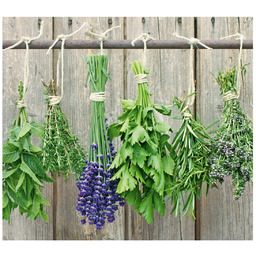 ZELLER Szklana płyta ochronna LAWENDA na kuchenkę duża