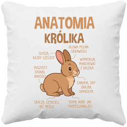 Anatomia królika - poduszka na prezent