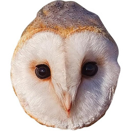 Star Cutouts SM444 maska sowa karton - niesamowity