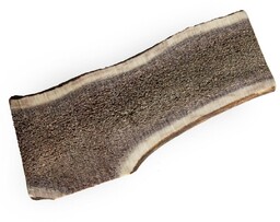 Antler dog chew/ gryzak z poroża jelenia 1/2