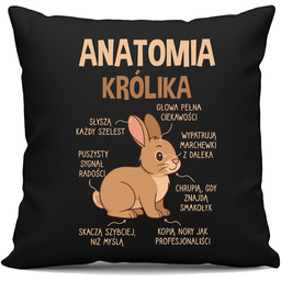 Anatomia królika - czarna poduszka na prezent