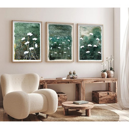 Pakamera Plakat Zestaw 3 prac