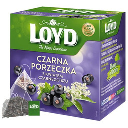 Loyd Tea Czarna Porzeczka Kwiat Bzu Ex20 herbata