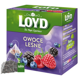 Loyd Tea Owoce Leśne Ex20 herbata ekspresowa owocowa