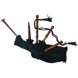 vidaXL Dudy szkockie dla dzieci w zielono-czarną kratę