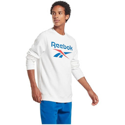 Reebok Męska bluza z logo Big Stacked
