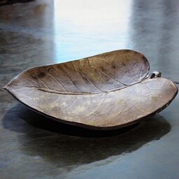 Pakamera Patera liść