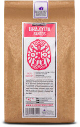 Kawa mielona Brazylia Santos 1 kg