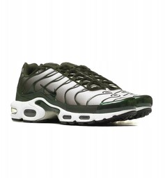 Nike AIR MAX PLUS DM0032-300 42