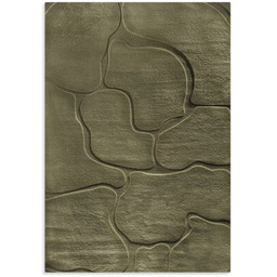 EUROFIRANY Dywan Alba6 60 x 100 cm Oliwkowy