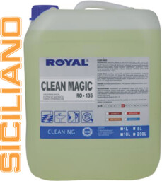 Płyn do mycia i dezynfekcji Royal Clean Magic