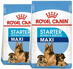ROYAL CANIN Maxi Starter Mother&Babydog 15kg karma sucha
