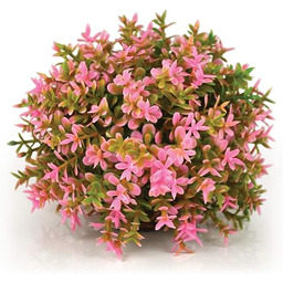 biOrb Topiary Ball, różowa