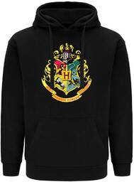 Bluza męska Harry Potter wzór: Harry Potter 025,