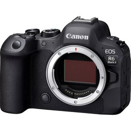 Canon EOS R6 Mark II + RF 14-35mm