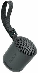 Głośnik bezprzewodowy SONY SRS-XB100 Czarny