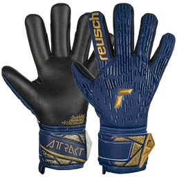 Reusch Rękawice Attrakt Freegel Silver 54 70 235