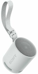 Głośnik bezprzewodowy SONY SRS-XB100 Szary