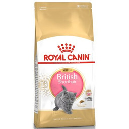 ROYAL CANIN Karma dla kota FBN British Shorthair