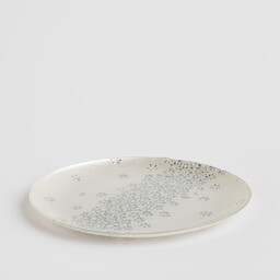 Patera Flosy