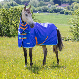Shires Equestrian Derka padokowa z kołnierzem 50g Tempest