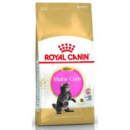ROYAL CANIN Karma dla kota Kitten Maine Coon