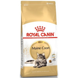 ROYAL CANIN Karma dla kota Adult Maine Coon