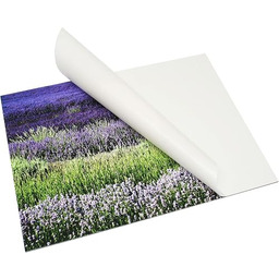 Format kleju/passe-partout Wymiary (zdjęcie): 30 cm wys. x