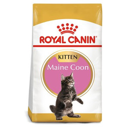 ROYAL CANIN Karma dla kota Maine Coon Kitten
