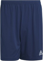 adidas Wejście 22 Szorty - Bermudy męskie