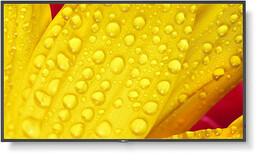Sharp-nec Profesjonalny monitor LFD NEC MultiSync ME431 (43")