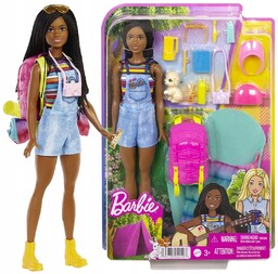 Barbie Lalka Brooklyn Na Kempingu HDF74 Piesek Akcesoria