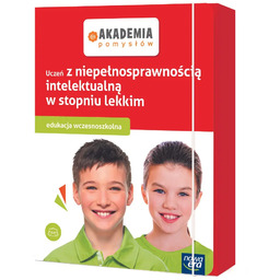 Akademia pomysłów. Uczeń z lekką niepełnosprawnością intelektualną