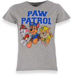 T-shirt dla dzieci Trio Psi Patrol Szara