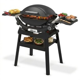 WEBER Grill ogrodowy gazowy Q 2200N 1501094 4.1