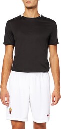 Nike spodenki męskie Home 2019/20, Nike wielokolorowa biały
