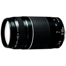 CANON Obiektyw EF 75-300 mm f/4-5.6 III