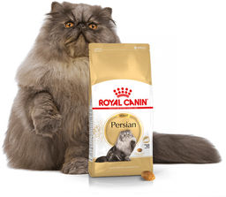 ROYAL CANIN Persian Adult 10kg karma sucha