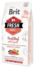 Brit Fresh Beef & Pumpkin Puppy Large Bones
