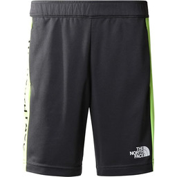 THE NORTH FACE Never Stop szorty