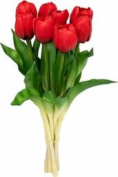 Softflame Sztuczne/sztuczne kwiaty - tulipan czerwony 8 szt.