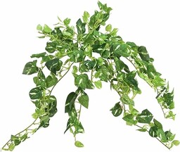 Europalms sztuczna roślina bluszcz, pnąca Pothos 50 cm