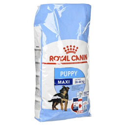 ROYAL CANIN SHN Maxi Puppy - sucha karma