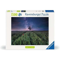 Erwachsenenpuzzle Power of Nature 1500 Teile - Nachthimmel