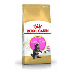ROYAL CANIN Karma dla kota Kitten Maine Coon