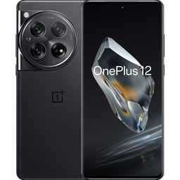 OnePlus 12 5G 12/256GB Czarny